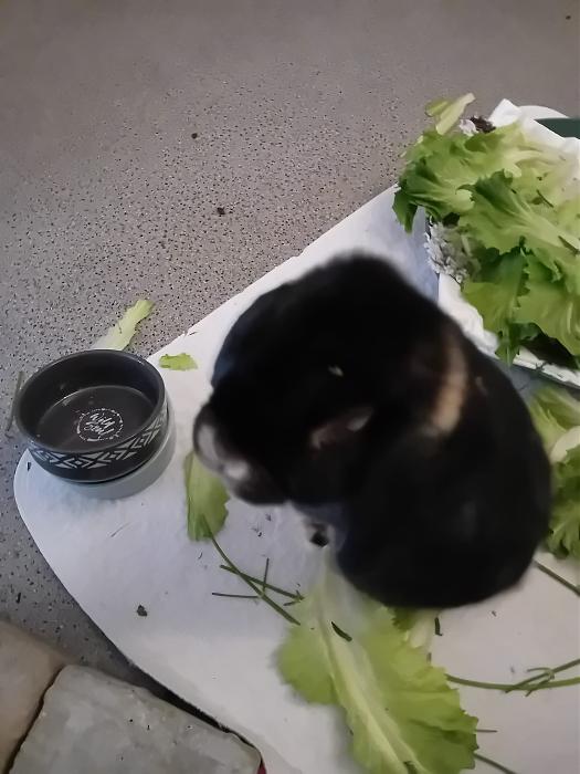 Klicke auf die Grafik f�r eine gr��ere Ansicht

Name:	IMG-20251019-WA0055.jpg
Hits:	0
Gr��e:	194,8 KB
ID:	215090