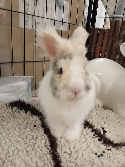 Klicke auf die Grafik f�r eine gr��ere Ansicht

Name:	IMG-20251019-WA0056.jpg
Hits:	0
Gr��e:	176,9 KB
ID:	215091