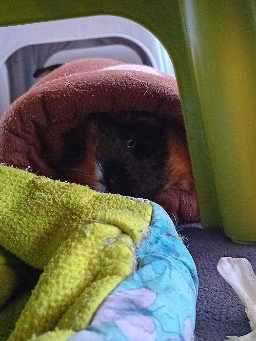 Klicke auf die Grafik f�r eine gr��ere Ansicht

Name:	IMG-20251019-WA0050.jpg
Hits:	0
Gr��e:	173,0 KB
ID:	215101