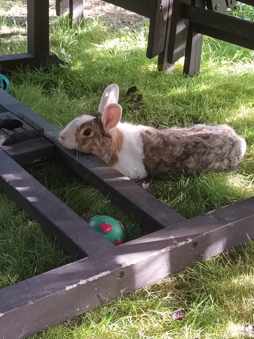 Klicke auf die Grafik fr eine grere Ansicht

Name:	IMG_6261.jpg
Hits:	2
Gre:	56,9 KB
ID:	215137