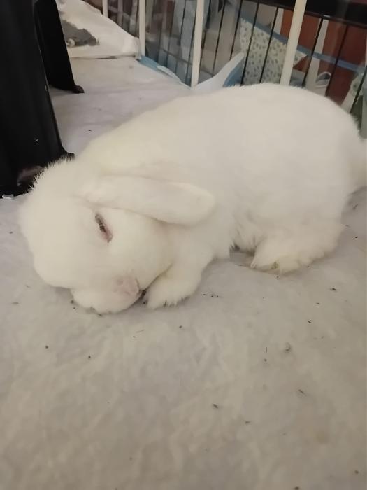 Klicke auf die Grafik f�r eine gr��ere Ansicht

Name:	IMG-20251026-WA0065.jpg
Hits:	0
Gr��e:	59,6 KB
ID:	215153