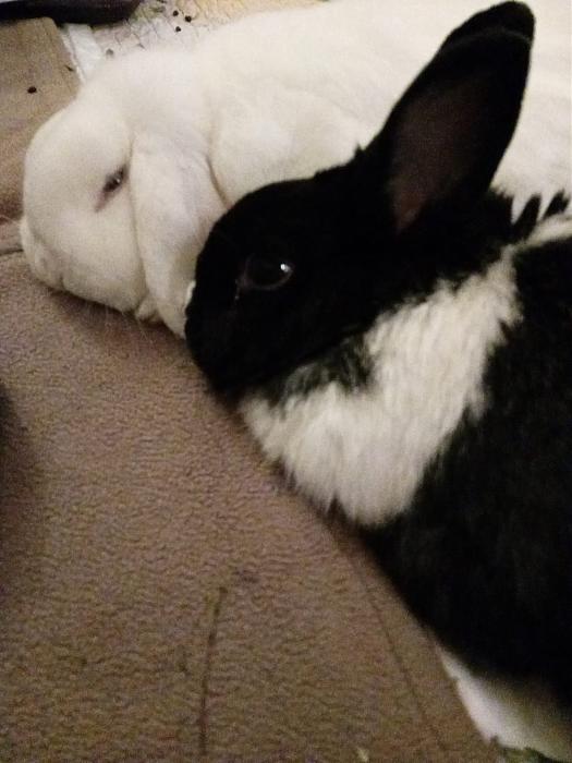 Klicke auf die Grafik f�r eine gr��ere Ansicht

Name:	IMG-20251026-WA0061.jpg
Hits:	0
Gr��e:	151,6 KB
ID:	215154