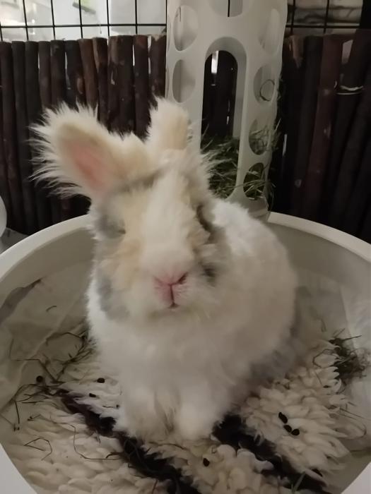 Klicke auf die Grafik f�r eine gr��ere Ansicht

Name:	IMG-20251026-WA0072.jpg
Hits:	0
Gr��e:	92,6 KB
ID:	215160