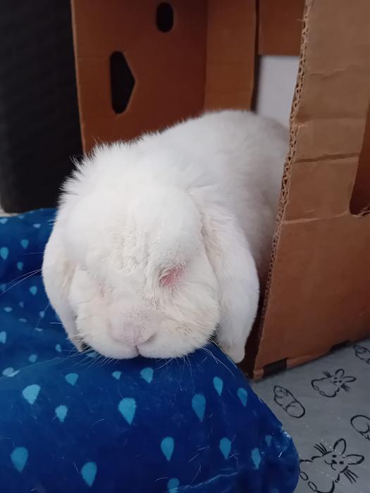 Klicke auf die Grafik fr eine grere Ansicht

Name:	IMG-20251026-WA0056.jpg
Hits:	0
Gre:	83,9 KB
ID:	215163