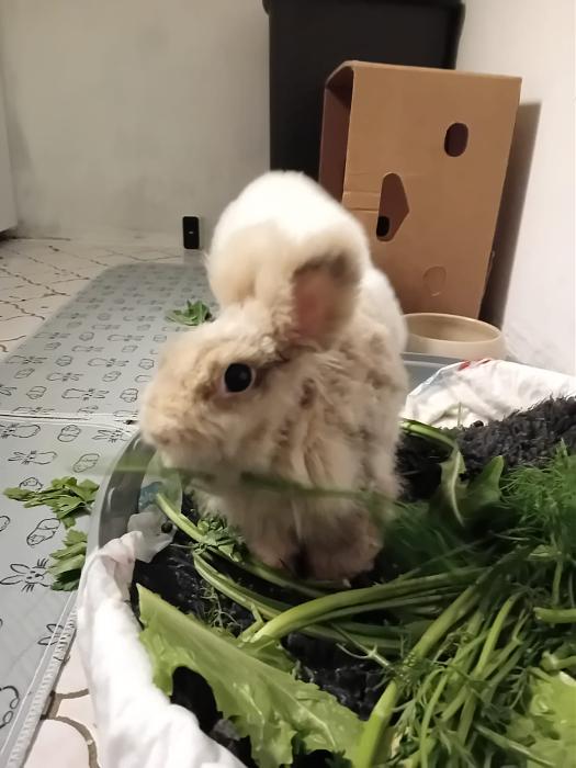 Klicke auf die Grafik fr eine grere Ansicht

Name:	IMG-20251026-WA0071.jpg
Hits:	0
Gre:	121,8 KB
ID:	215167