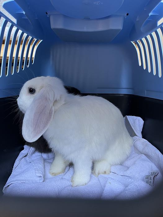 Klicke auf die Grafik fr eine grere Ansicht

Name:	Coco.jpg
Hits:	0
Gre:	29,9 KB
ID:	215207