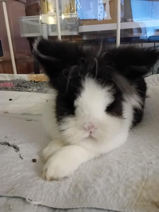 Klicke auf die Grafik fr eine grere Ansicht

Name:	IMG-20251102-WA0055.jpg
Hits:	1
Gre:	147,7 KB
ID:	215234