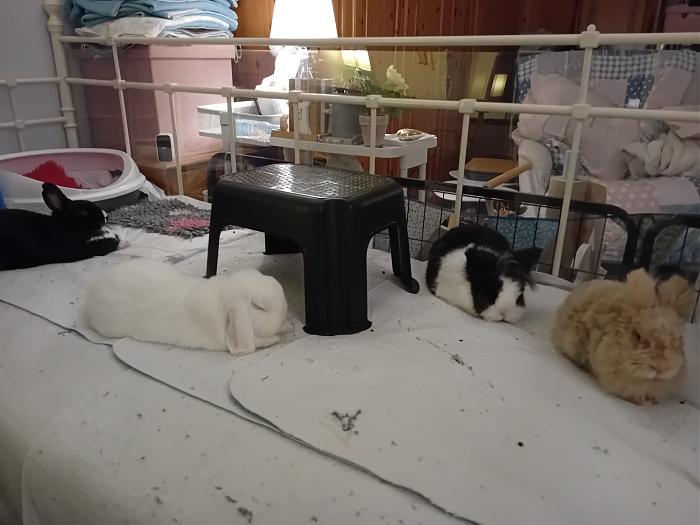 Klicke auf die Grafik fr eine grere Ansicht

Name:	IMG-20251102-WA0046.jpg
Hits:	1
Gre:	169,3 KB
ID:	215235