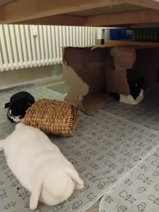 Klicke auf die Grafik fr eine grere Ansicht

Name:	IMG-20251102-WA0047.jpg
Hits:	1
Gre:	155,3 KB
ID:	215236