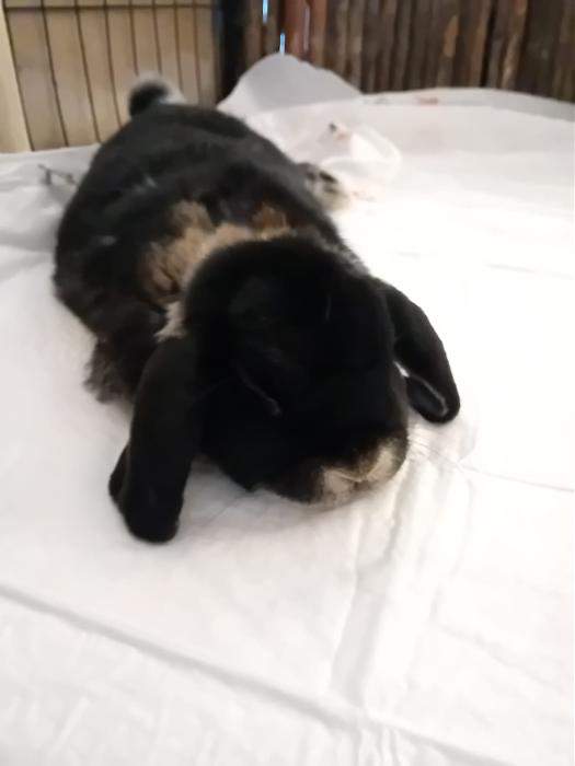 Klicke auf die Grafik f�r eine gr��ere Ansicht

Name:	IMG-20251102-WA0058.jpg
Hits:	1
Gr��e:	101,2 KB
ID:	215237