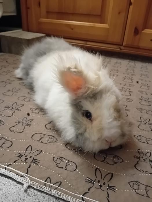 Klicke auf die Grafik f�r eine gr��ere Ansicht

Name:	IMG-20251102-WA0043.jpg
Hits:	0
Gr��e:	192,6 KB
ID:	215238