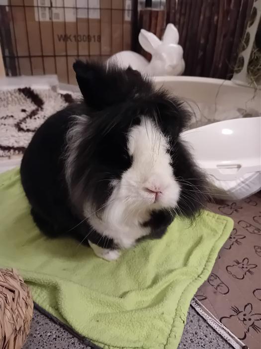 Klicke auf die Grafik f�r eine gr��ere Ansicht

Name:	IMG-20251102-WA0042.jpg
Hits:	0
Gr��e:	198,5 KB
ID:	215239