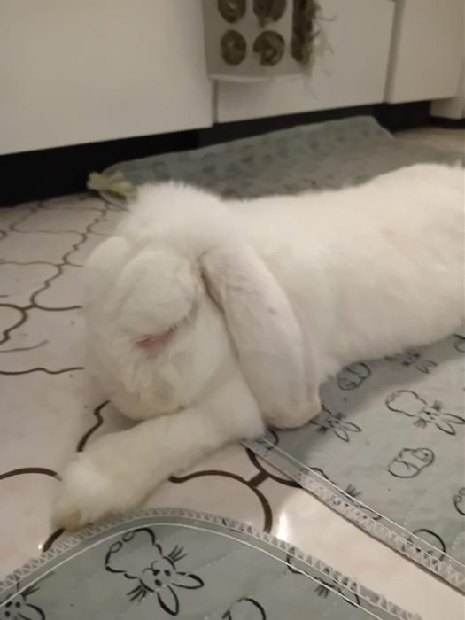 Klicke auf die Grafik fr eine grere Ansicht

Name:	IMG-20251102-WA0048.jpg
Hits:	0
Gre:	115,2 KB
ID:	215245