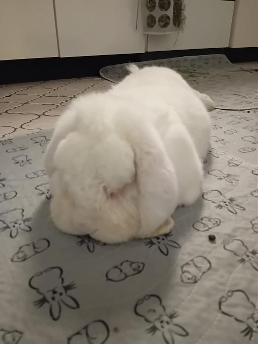 Klicke auf die Grafik fr eine grere Ansicht

Name:	IMG-20251102-WA0049.jpg
Hits:	0
Gre:	124,3 KB
ID:	215246