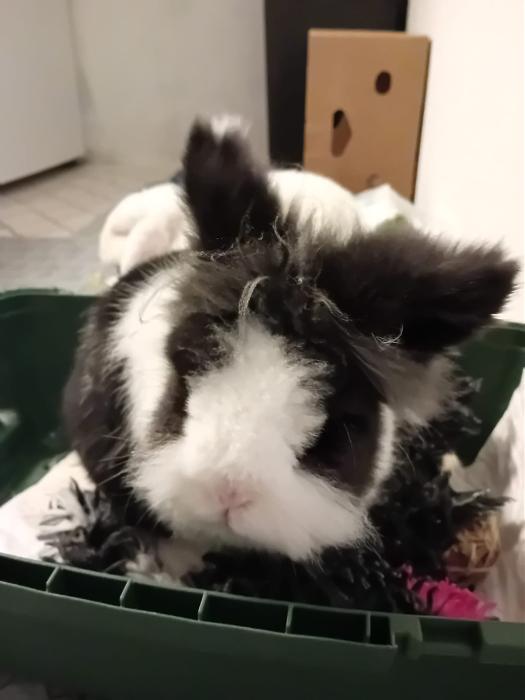 Klicke auf die Grafik fr eine grere Ansicht

Name:	IMG-20251102-WA0044.jpg
Hits:	0
Gre:	129,7 KB
ID:	215247