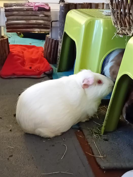 Klicke auf die Grafik f�r eine gr��ere Ansicht

Name:	IMG-20251102-WA0056.jpg
Hits:	0
Gr��e:	178,6 KB
ID:	215249