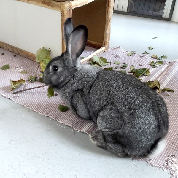 Klicke auf die Grafik fr eine grere Ansicht

Name:	WEB-IMG_20251107_155513.jpg
Hits:	30
Gre:	145,2 KB
ID:	215292