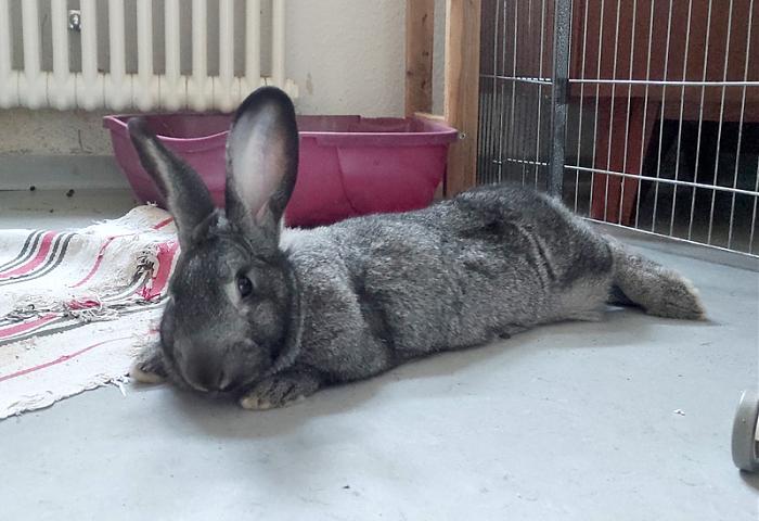 Klicke auf die Grafik fr eine grere Ansicht

Name:	WEB-IMG_20251107_154942.jpg
Hits:	0
Gre:	151,7 KB
ID:	215293