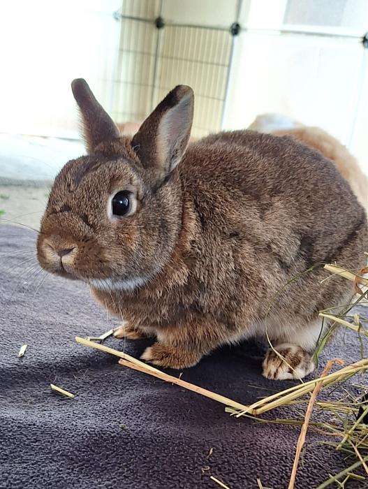 Klicke auf die Grafik fr eine grere Ansicht

Name:	Screenshot_20251108_153314_Gallery.jpg
Hits:	1
Gre:	197,0 KB
ID:	215297