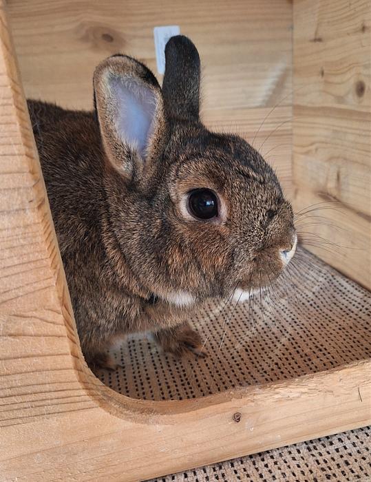 Klicke auf die Grafik fr eine grere Ansicht

Name:	Screenshot_20251108_153520_Gallery.jpg
Hits:	0
Gre:	207,3 KB
ID:	215298