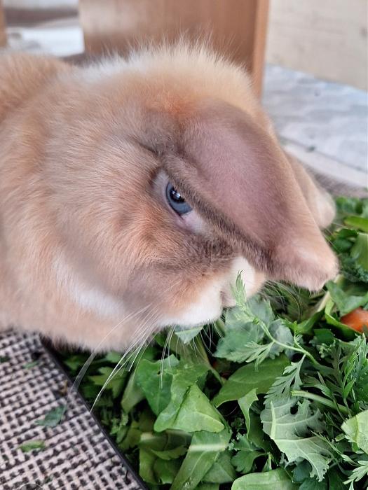 Klicke auf die Grafik fr eine grere Ansicht

Name:	Screenshot_20251108_153550_Gallery.jpg
Hits:	0
Gre:	164,1 KB
ID:	215299