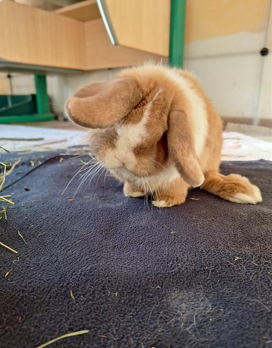 Klicke auf die Grafik fr eine grere Ansicht

Name:	Screenshot_20251108_153447_Gallery.jpg
Hits:	1
Gre:	182,4 KB
ID:	215300