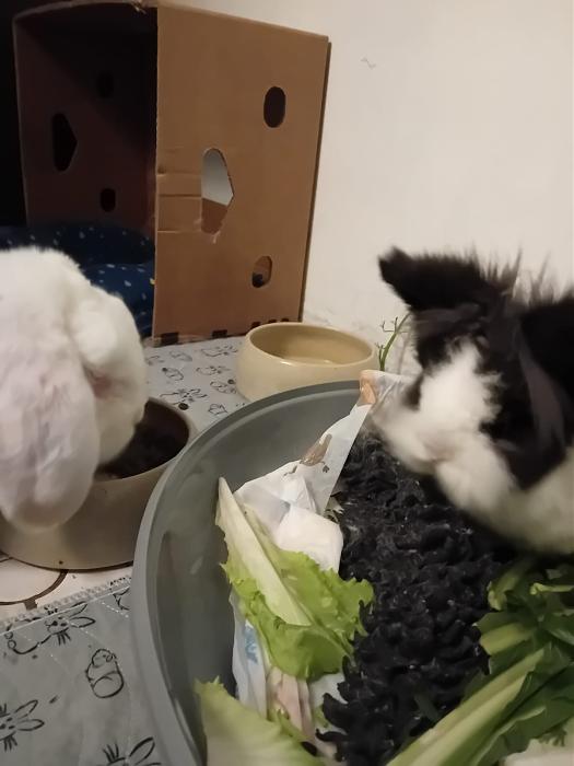 Klicke auf die Grafik f�r eine gr��ere Ansicht

Name:	IMG-20251109-WA0030.jpg
Hits:	1
Gr��e:	92,4 KB
ID:	215309