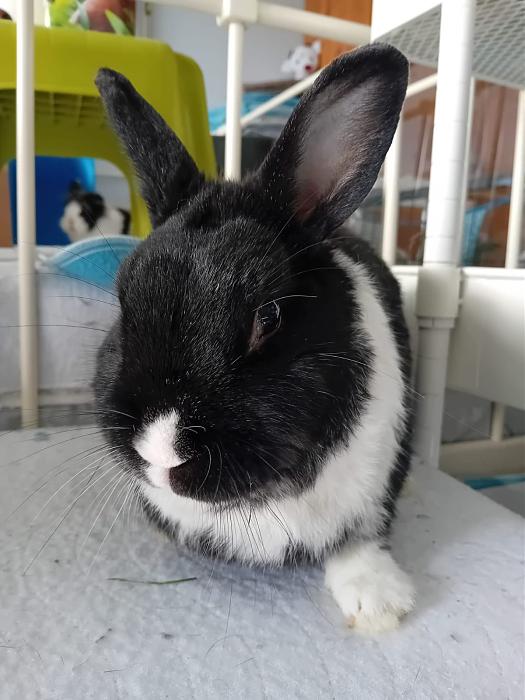 Klicke auf die Grafik fr eine grere Ansicht

Name:	IMG-20251109-WA0046.jpg
Hits:	0
Gre:	160,4 KB
ID:	215310