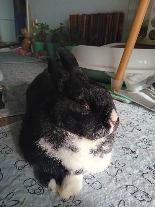 Klicke auf die Grafik fr eine grere Ansicht

Name:	IMG-20251109-WA0047.jpg
Hits:	0
Gre:	185,8 KB
ID:	215311