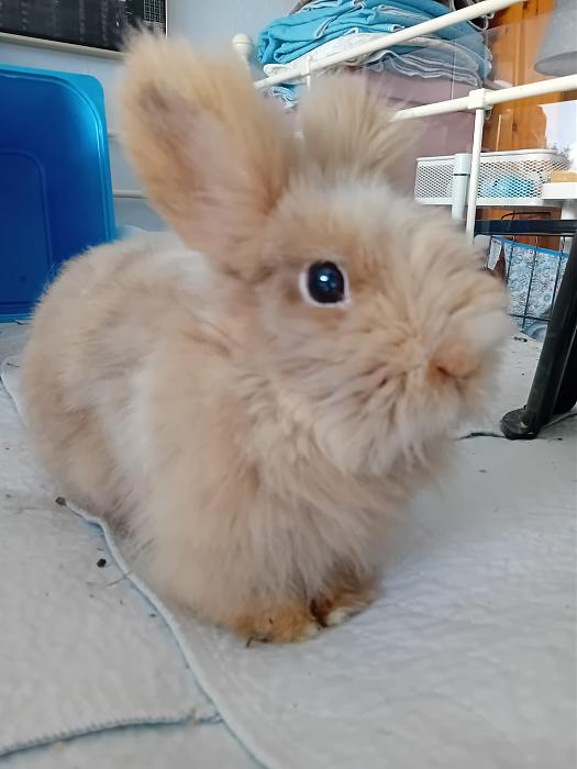 Klicke auf die Grafik fr eine grere Ansicht

Name:	IMG-20251109-WA0048.jpg
Hits:	0
Gre:	158,6 KB
ID:	215312