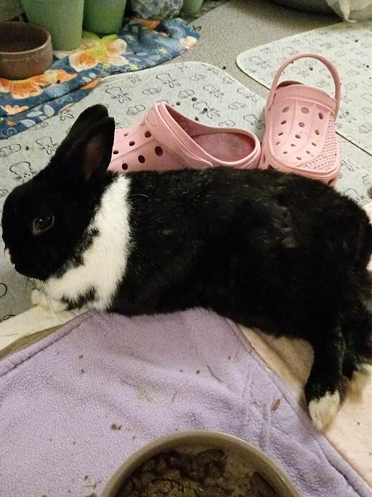 Klicke auf die Grafik fr eine grere Ansicht

Name:	IMG-20251109-WA0043.jpg
Hits:	0
Gre:	206,5 KB
ID:	215315