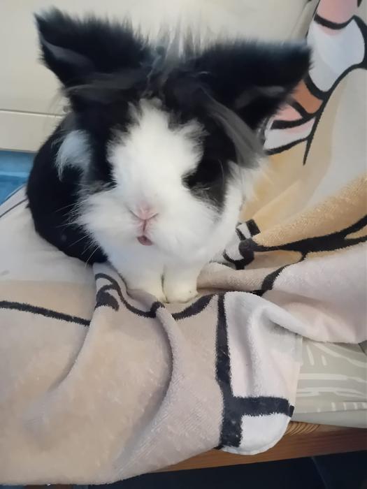 Klicke auf die Grafik fr eine grere Ansicht

Name:	IMG-20251109-WA0041.jpg
Hits:	0
Gre:	93,0 KB
ID:	215316