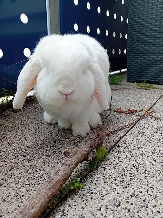 Klicke auf die Grafik fr eine grere Ansicht

Name:	IMG-20251109-WA0040.jpg
Hits:	0
Gre:	286,9 KB
ID:	215317