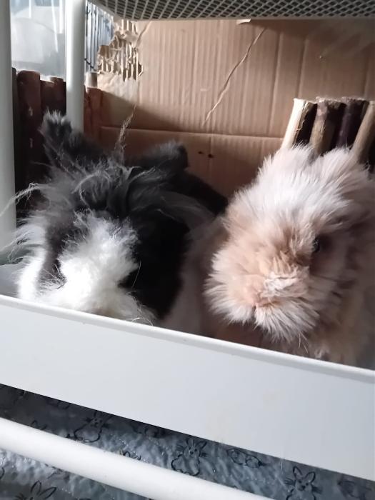 Klicke auf die Grafik fr eine grere Ansicht

Name:	IMG-20251109-WA0042.jpg
Hits:	0
Gre:	111,9 KB
ID:	215318