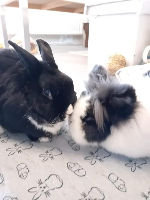 Klicke auf die Grafik fr eine grere Ansicht

Name:	IMG-20251109-WA0039.jpg
Hits:	0
Gre:	87,6 KB
ID:	215319