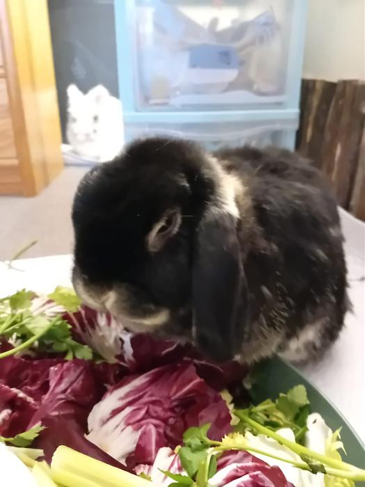 Klicke auf die Grafik f�r eine gr��ere Ansicht

Name:	IMG-20251109-WA0033.jpg
Hits:	1
Gr��e:	107,5 KB
ID:	215320