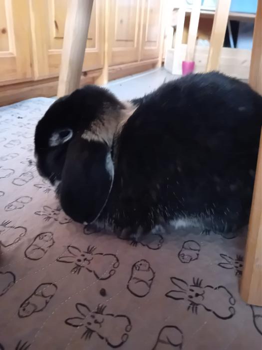 Klicke auf die Grafik f�r eine gr��ere Ansicht

Name:	IMG-20251109-WA0034.jpg
Hits:	0
Gr��e:	133,7 KB
ID:	215321