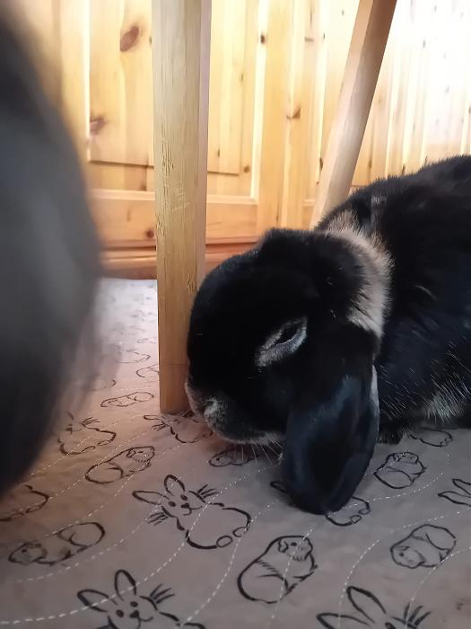 Klicke auf die Grafik f�r eine gr��ere Ansicht

Name:	IMG-20251109-WA0032.jpg
Hits:	0
Gr��e:	158,0 KB
ID:	215323