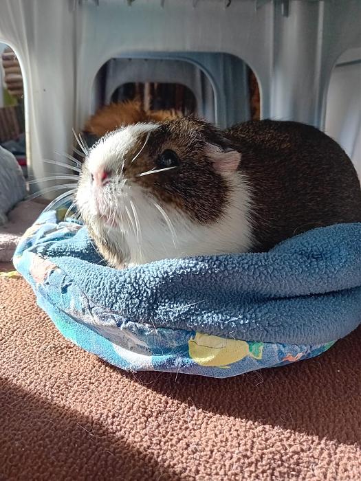 Klicke auf die Grafik fr eine grere Ansicht

Name:	IMG-20251109-WA0037.jpg
Hits:	0
Gre:	278,0 KB
ID:	215325