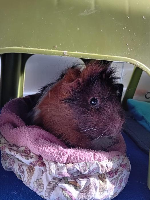 Klicke auf die Grafik fr eine grere Ansicht

Name:	IMG-20251109-WA0038.jpg
Hits:	0
Gre:	211,9 KB
ID:	215326