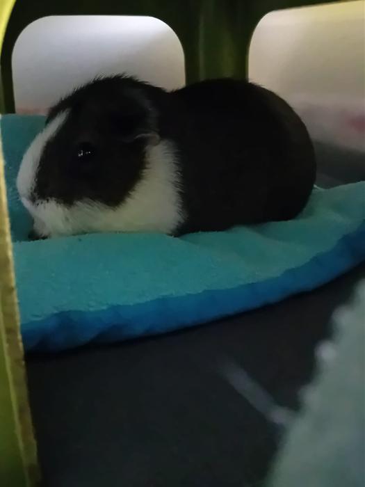 Klicke auf die Grafik fr eine grere Ansicht

Name:	IMG-20251109-WA0035.jpg
Hits:	0
Gre:	54,7 KB
ID:	215327