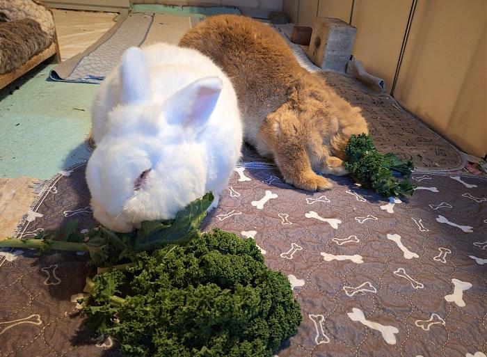 Klicke auf die Grafik fr eine grere Ansicht

Name:	Screenshot_20251109_172151_Gallery.jpg
Hits:	0
Gre:	129,6 KB
ID:	215328