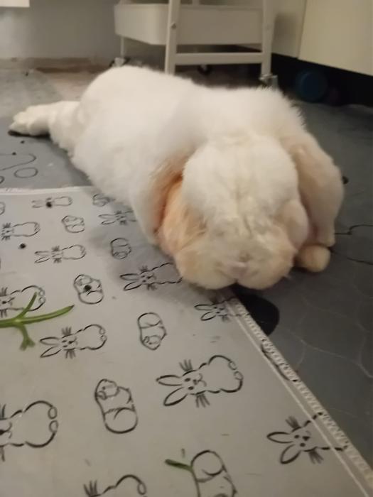 Klicke auf die Grafik f�r eine gr��ere Ansicht

Name:	IMG-20251114-WA0013.jpg
Hits:	0
Gr��e:	118,4 KB
ID:	215365