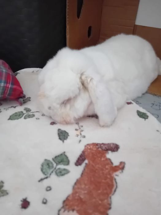 Klicke auf die Grafik f�r eine gr��ere Ansicht

Name:	IMG-20251116-WA0075.jpg
Hits:	0
Gr��e:	103,3 KB
ID:	215383