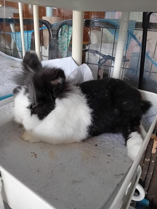 Klicke auf die Grafik fr eine grere Ansicht

Name:	IMG-20251116-WA0093.jpg
Hits:	0
Gre:	133,8 KB
ID:	215387