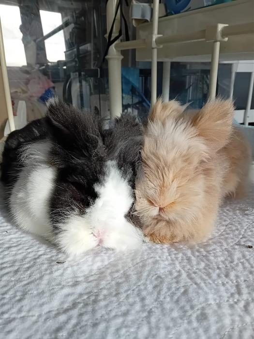 Klicke auf die Grafik fr eine grere Ansicht

Name:	IMG-20251116-WA0096.jpg
Hits:	0
Gre:	181,0 KB
ID:	215389