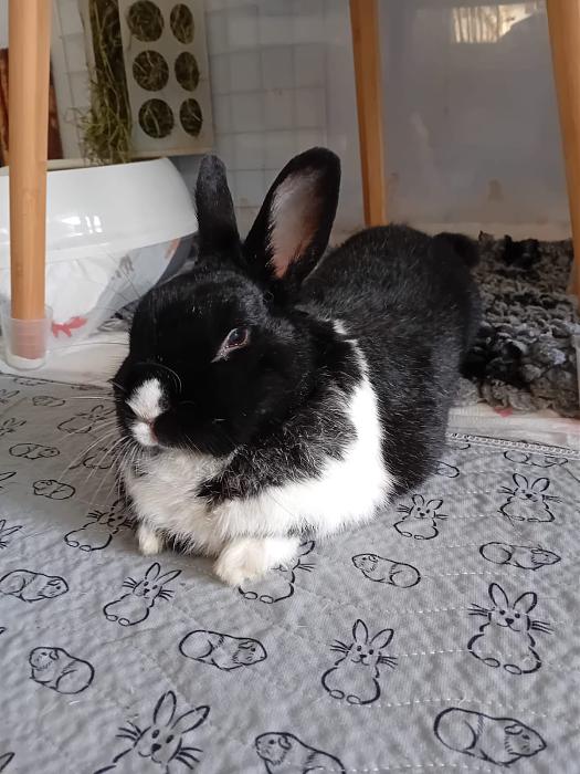 Klicke auf die Grafik fr eine grere Ansicht

Name:	IMG-20251116-WA0090.jpg
Hits:	0
Gre:	185,2 KB
ID:	215390