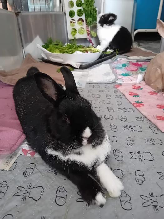 Klicke auf die Grafik fr eine grere Ansicht

Name:	IMG-20251116-WA0089.jpg
Hits:	0
Gre:	147,0 KB
ID:	215392