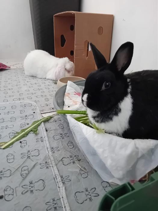 Klicke auf die Grafik fr eine grere Ansicht

Name:	IMG-20251116-WA0074.jpg
Hits:	0
Gre:	167,5 KB
ID:	215393