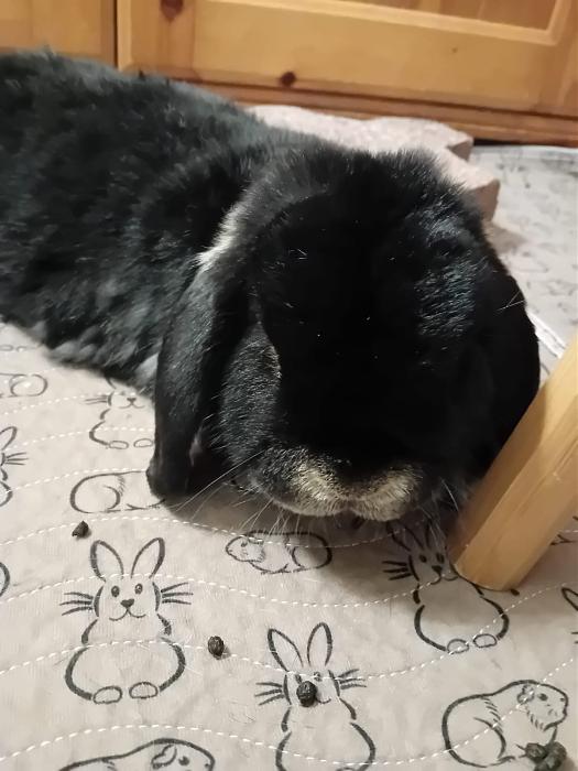 Klicke auf die Grafik f�r eine gr��ere Ansicht

Name:	IMG-20251116-WA0077.jpg
Hits:	0
Gr��e:	132,6 KB
ID:	215394